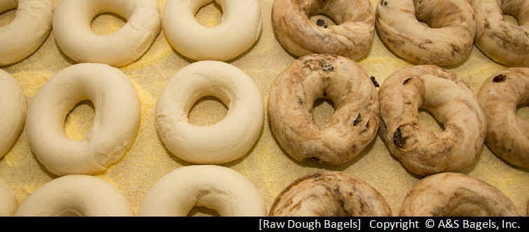 Raw Dough Bagels from A&S Bagels can be purchased for your bagel store